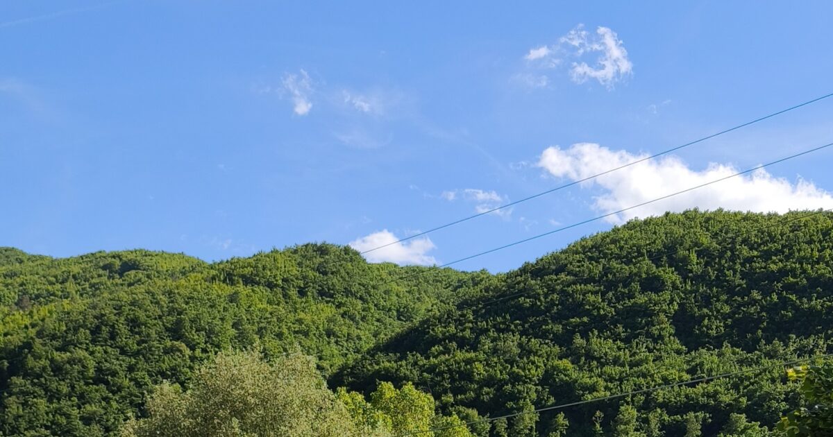Il Pianista sul Maggiolone